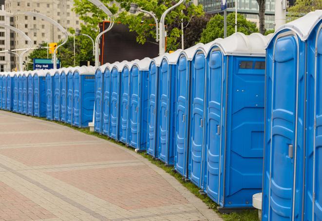 portable restrooms with sink and hand sanitizer stations, available at a festival in Masonville